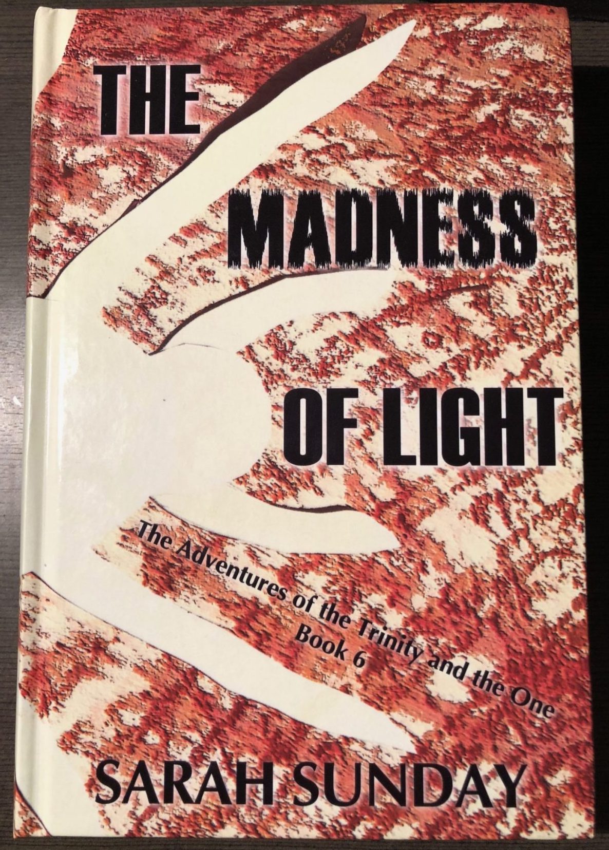 The Madness of Light Hardcover Copy