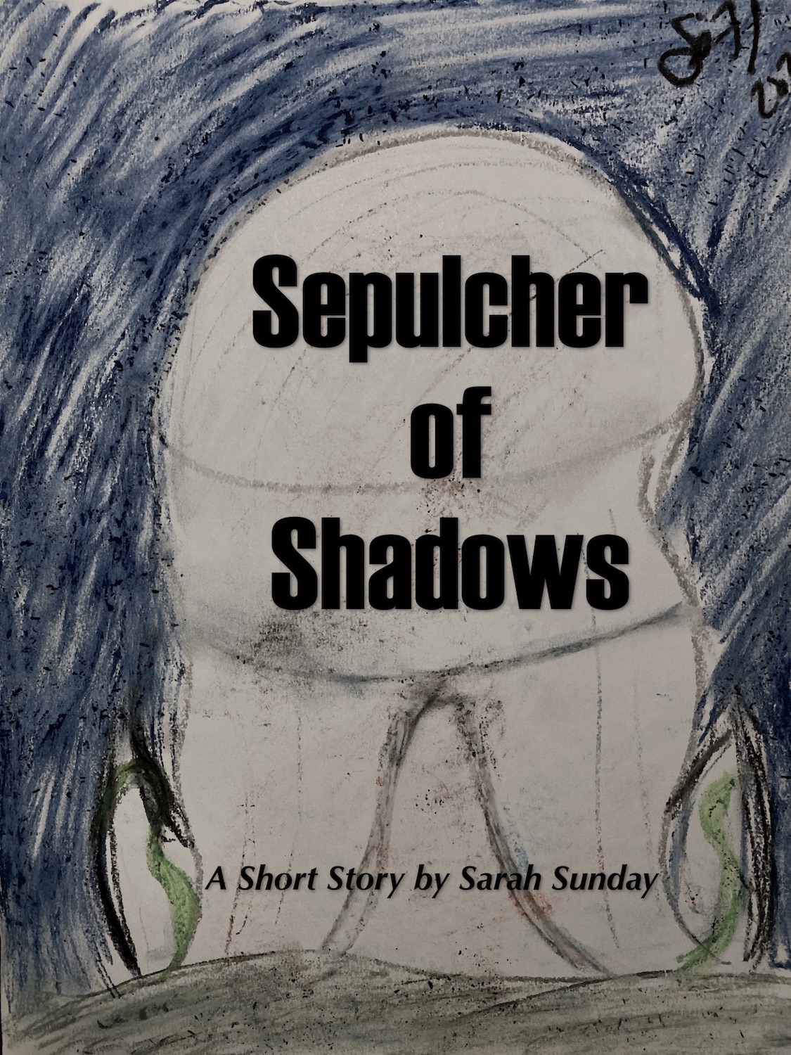 Sepulcher of Shadows: A Short Story following The Madness of Light