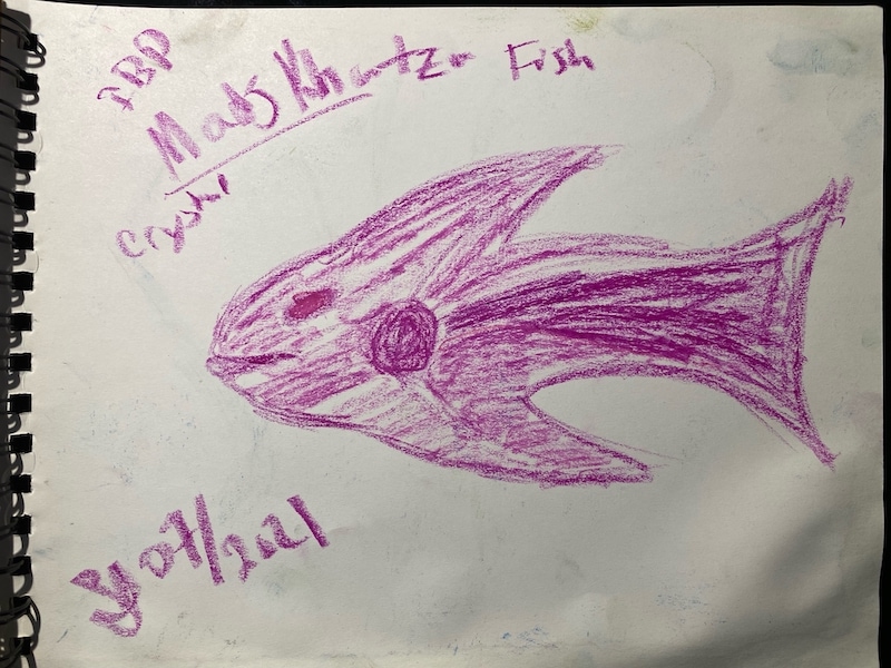 Crystal Fish Crystal Fish