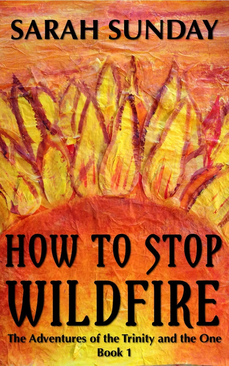 One Year Anniversary of How to Stop Wildfire!