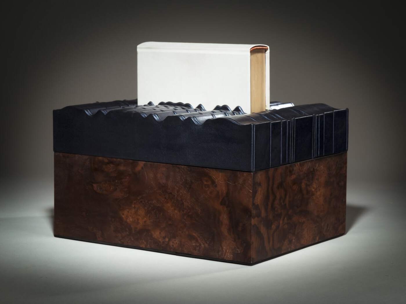 Moby Dick Cover/Sculpture by Richard Tuttle Moby Dick Cover/Sculpture by Richard Tuttle